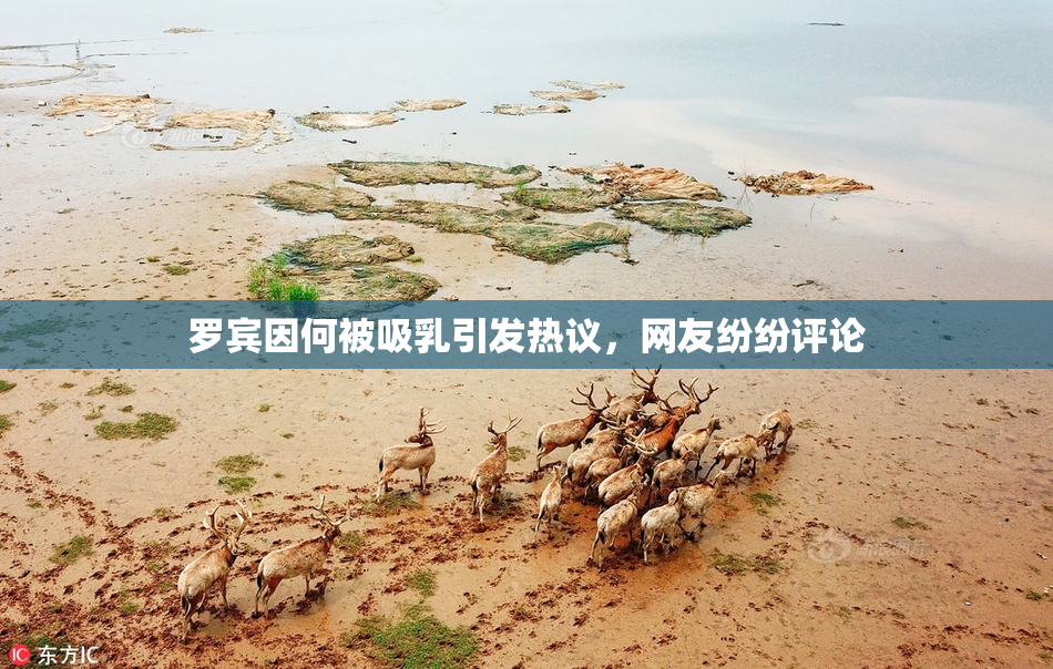 罗宾因何被吸乳引发热议，网友纷纷评论