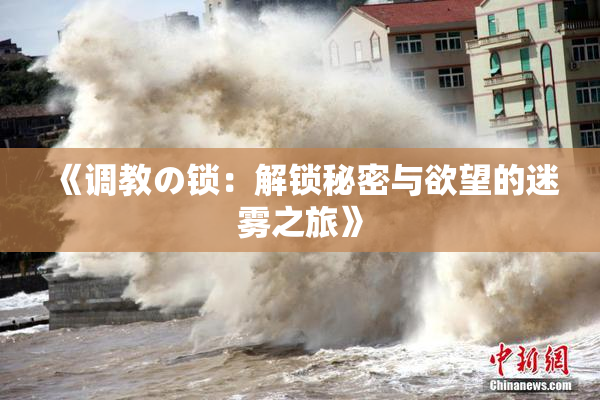 《调教の锁：解锁秘密与欲望的迷雾之旅》