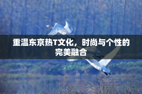 重温东京热T文化，时尚与个性的完美融合