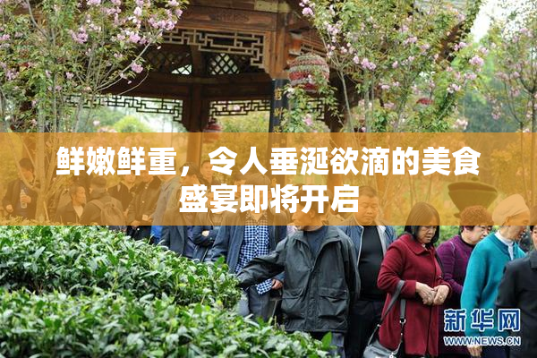 鲜嫩鲜重，令人垂涎欲滴的美食盛宴即将开启
