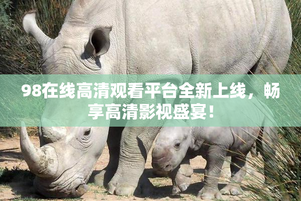 98在线高清观看平台全新上线，畅享高清影视盛宴！