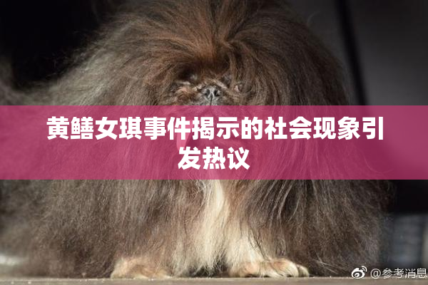 黄鳝女琪事件揭示的社会现象引发热议