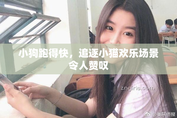 小狗跑得快，追逐小猫欢乐场景令人赞叹