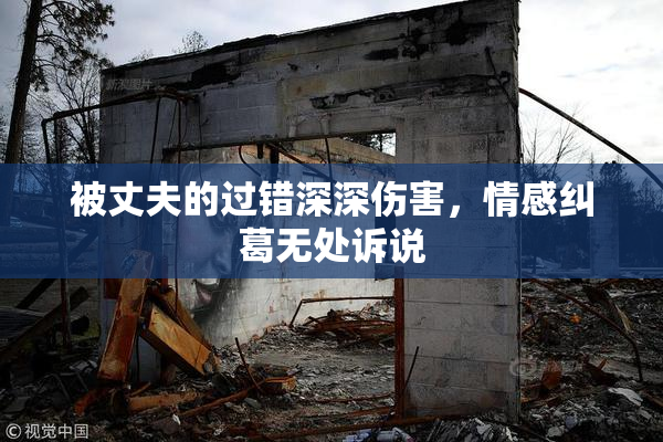 被丈夫的过错深深伤害，情感纠葛无处诉说