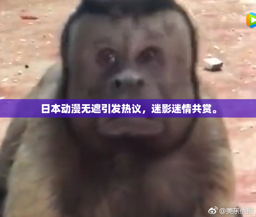 日本动漫无遮引发热议，迷影迷情共赏。
