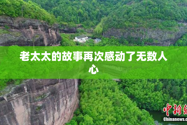 老太太的故事再次感动了无数人心