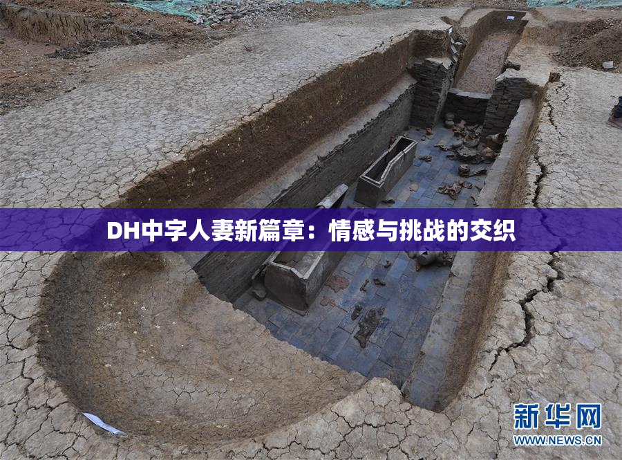 DH中字人妻新篇章：情感与挑战的交织
