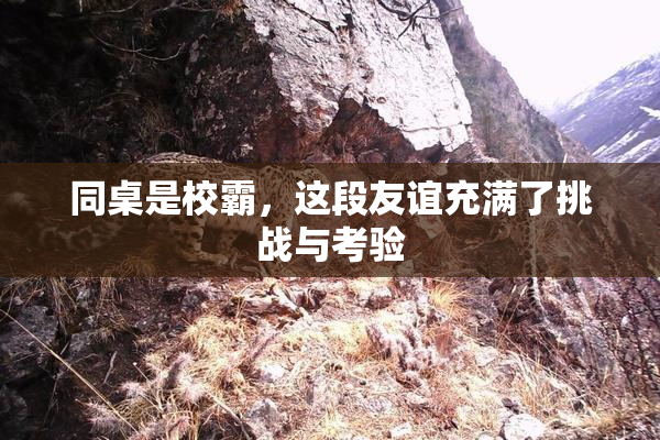 同桌是校霸，这段友谊充满了挑战与考验