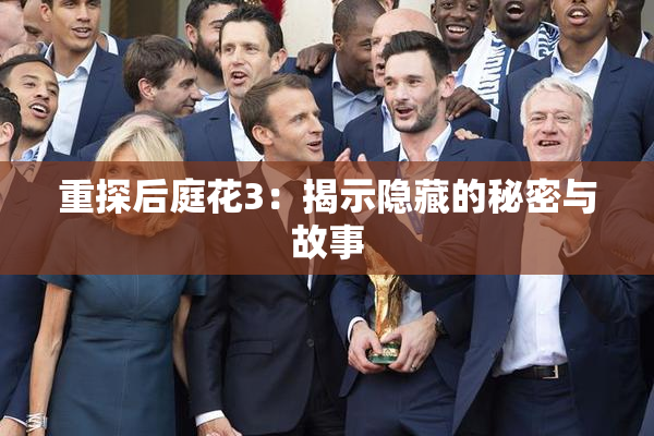 重探后庭花3：揭示隐藏的秘密与故事