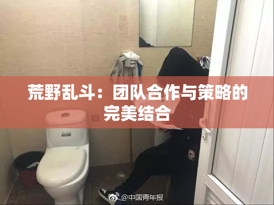 荒野乱斗：团队合作与策略的完美结合
