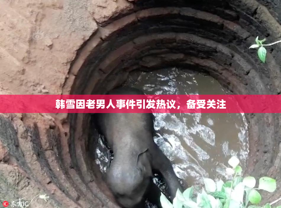 韩雪因老男人事件引发热议，备受关注