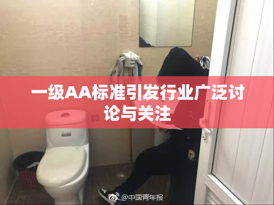 一级AA标准引发行业广泛讨论与关注