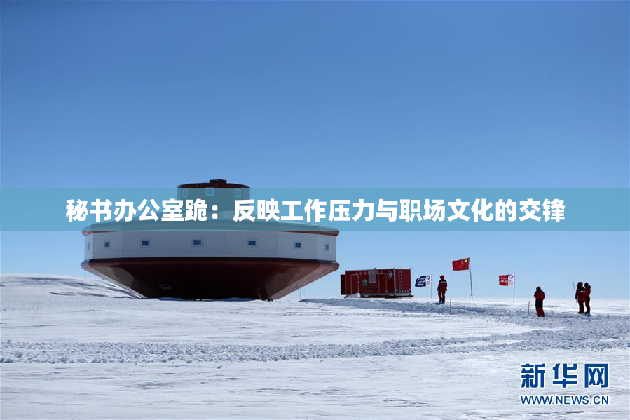秘书办公室跪：反映工作压力与职场文化的交锋