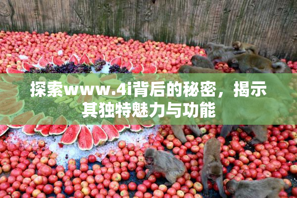 探索www.4i背后的秘密，揭示其独特魅力与功能