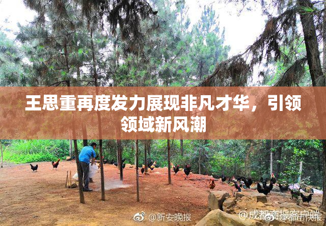 王思重再度发力展现非凡才华，引领领域新风潮