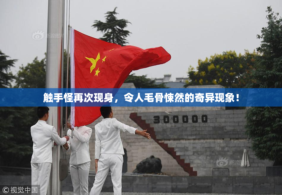 触手怪再次现身，令人毛骨悚然的奇异现象！