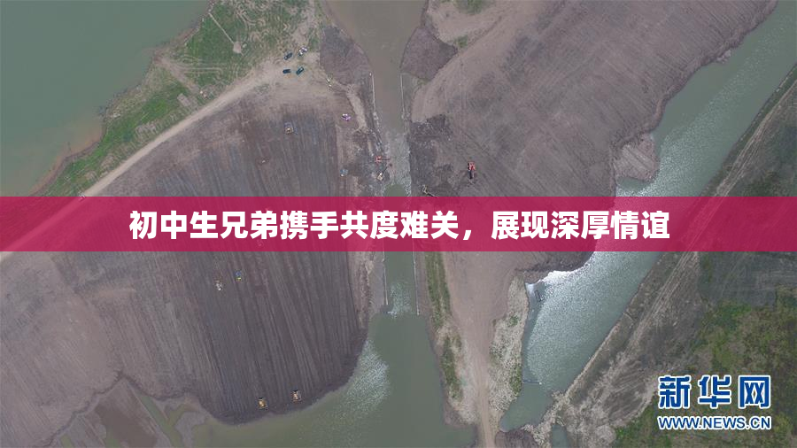 初中生兄弟携手共度难关，展现深厚情谊