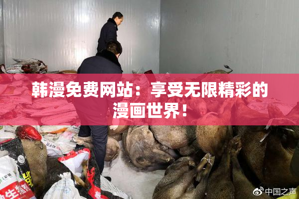 韩漫免费网站：享受无限精彩的漫画世界！