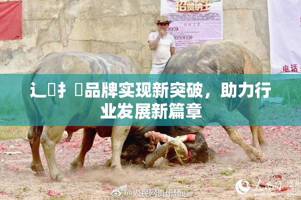 辶喿扌畐品牌实现新突破，助力行业发展新篇章