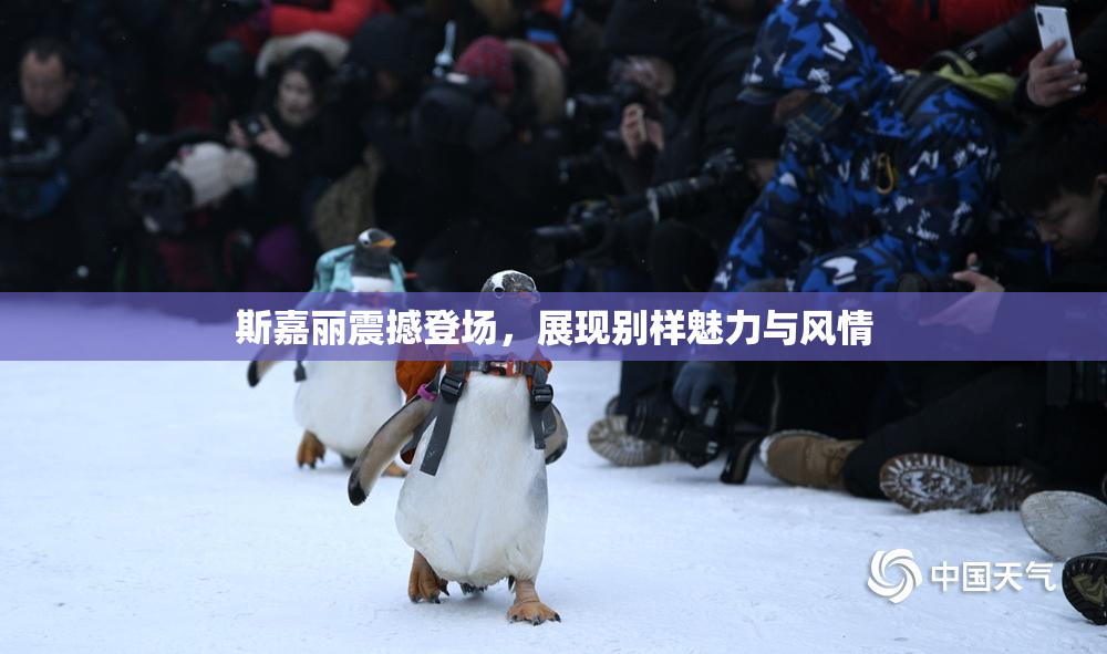 斯嘉丽震撼登场，展现别样魅力与风情
