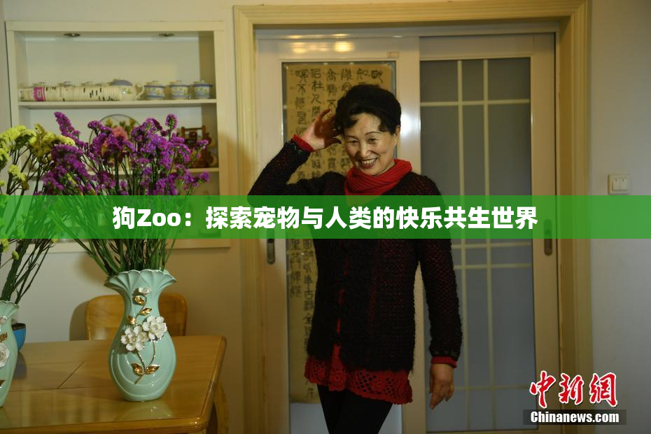 狗Zoo：探索宠物与人类的快乐共生世界