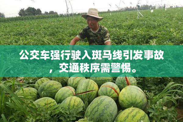 公交车强行驶入斑马线引发事故，交通秩序需警惕。