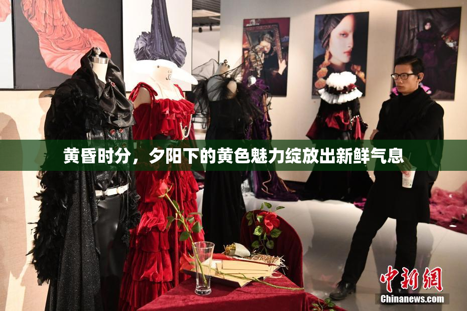 黄昏时分，夕阳下的黄色魅力绽放出新鲜气息
