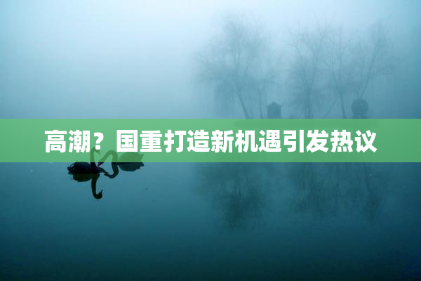 高潮？国重打造新机遇引发热议
