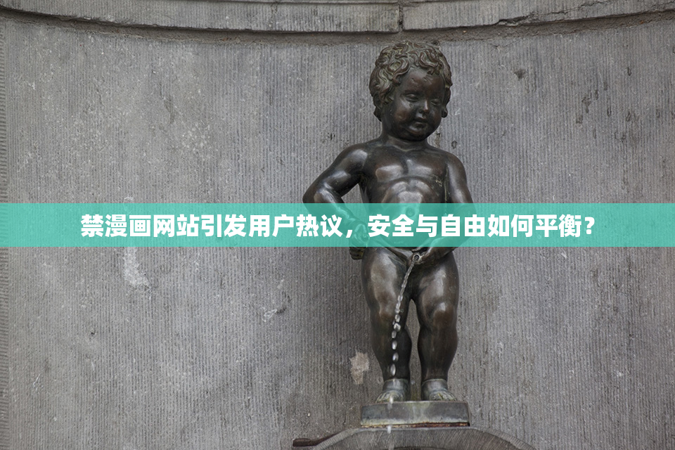 禁漫画网站引发用户热议，安全与自由如何平衡？
