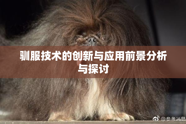 驯服技术的创新与应用前景分析与探讨