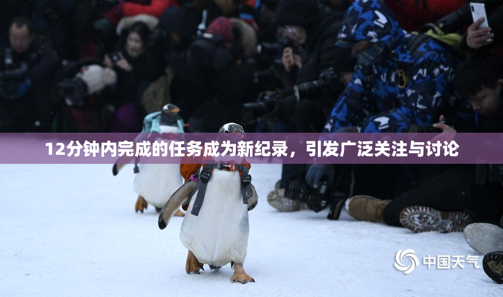 12分钟内完成的任务成为新纪录，引发广泛关注与讨论