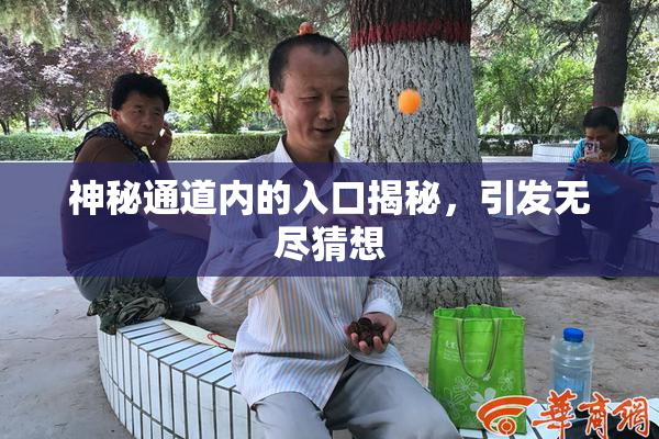 神秘通道内的入口揭秘，引发无尽猜想