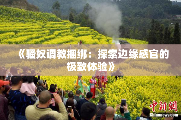 《骚奴调教捆绑：探索边缘感官的极致体验》