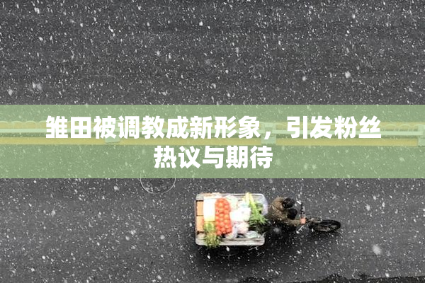 雏田被调教成新形象，引发粉丝热议与期待