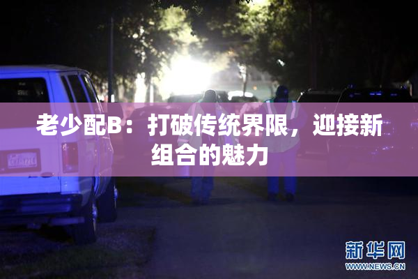 老少配B：打破传统界限，迎接新组合的魅力