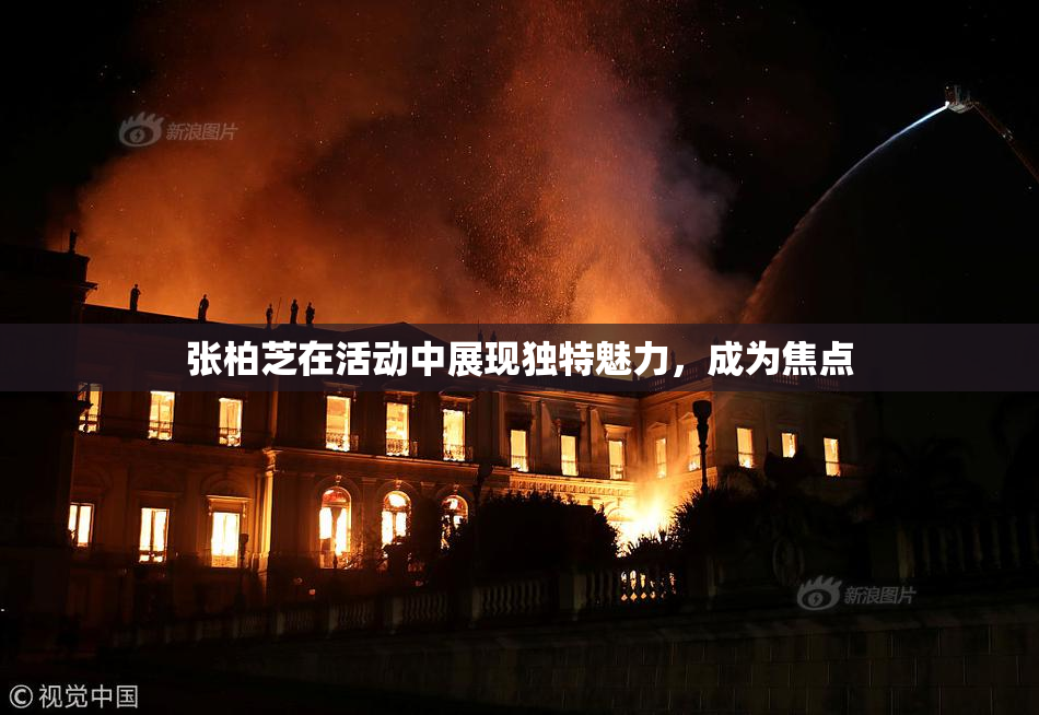 张柏芝在活动中展现独特魅力，成为焦点