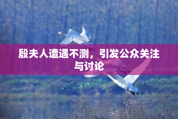 殷夫人遭遇不测，引发公众关注与讨论
