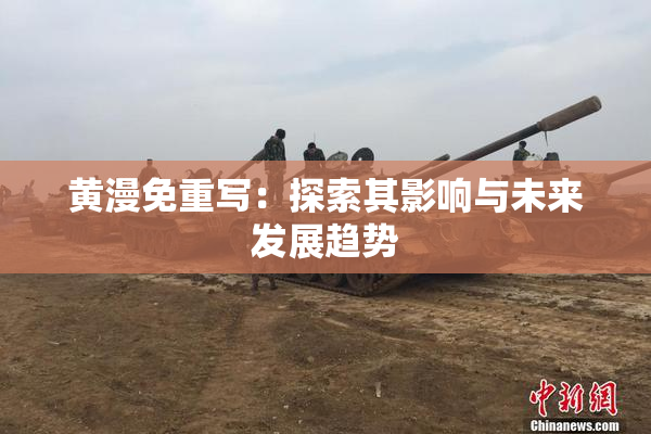 黄漫免重写：探索其影响与未来发展趋势