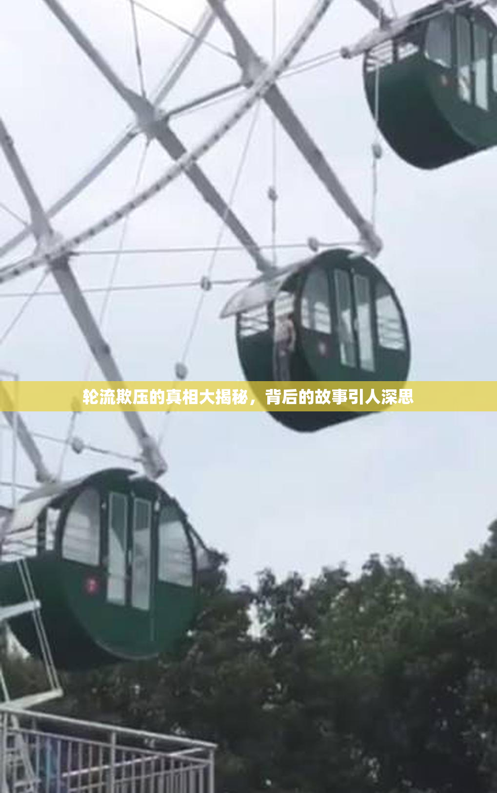 轮流欺压的真相大揭秘，背后的故事引人深思