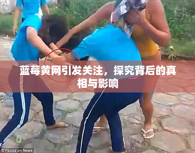 蓝莓黄网引发关注，探究背后的真相与影响
