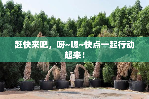 赶快来吧，呀~嗯~快点一起行动起来！