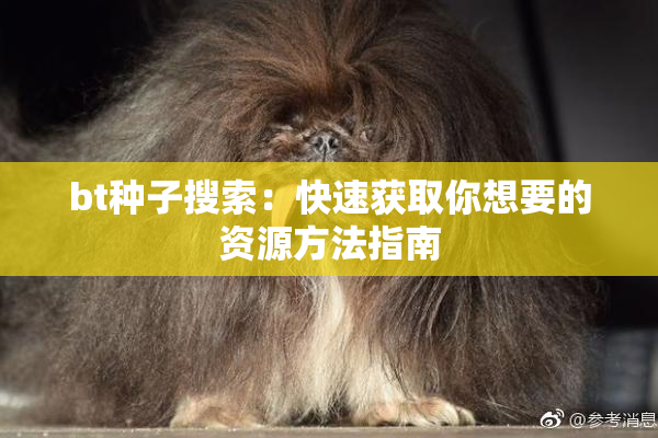 bt种子搜索：快速获取你想要的资源方法指南