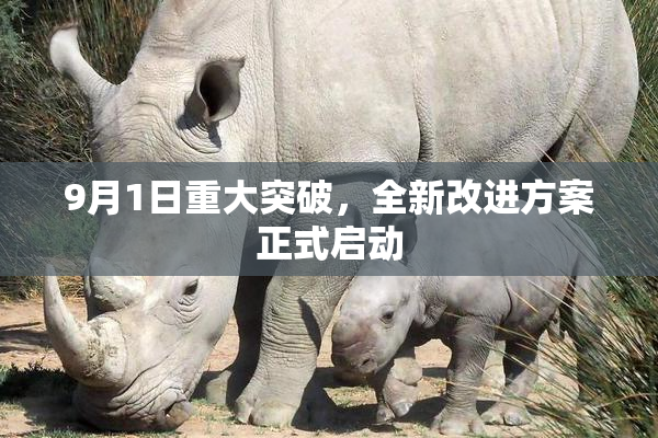 9月1日重大突破，全新改进方案正式启动