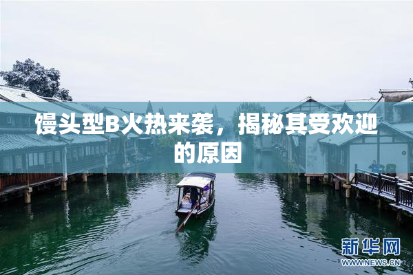 馒头型B火热来袭，揭秘其受欢迎的原因