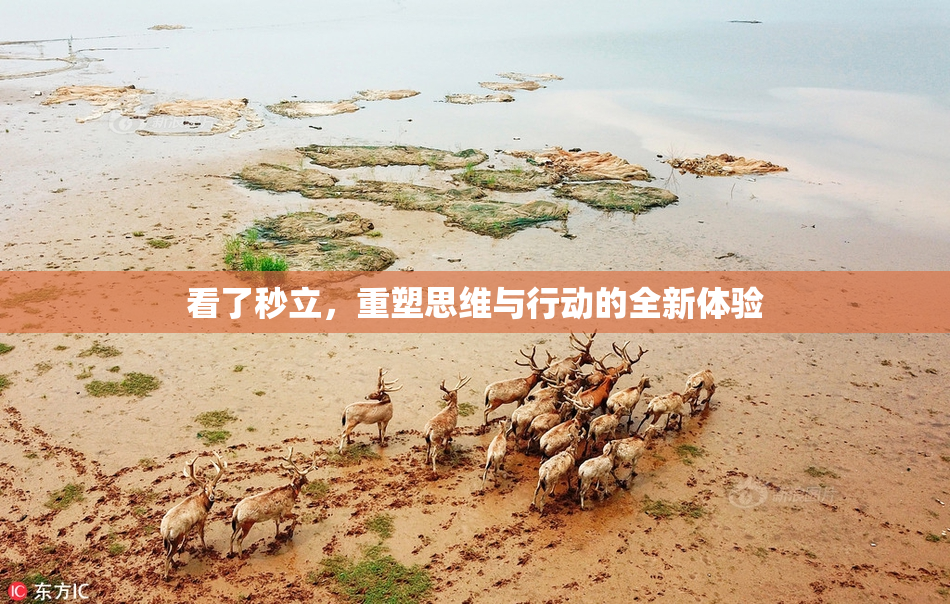 看了秒立，重塑思维与行动的全新体验