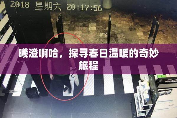 曦澄啊哈，探寻春日温暖的奇妙旅程