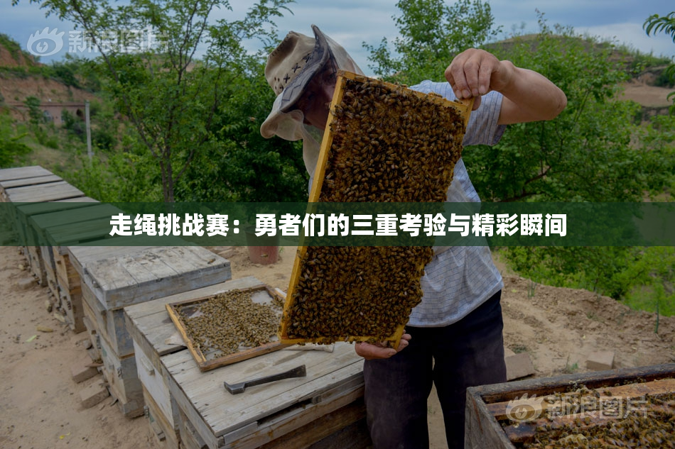 走绳挑战赛：勇者们的三重考验与精彩瞬间