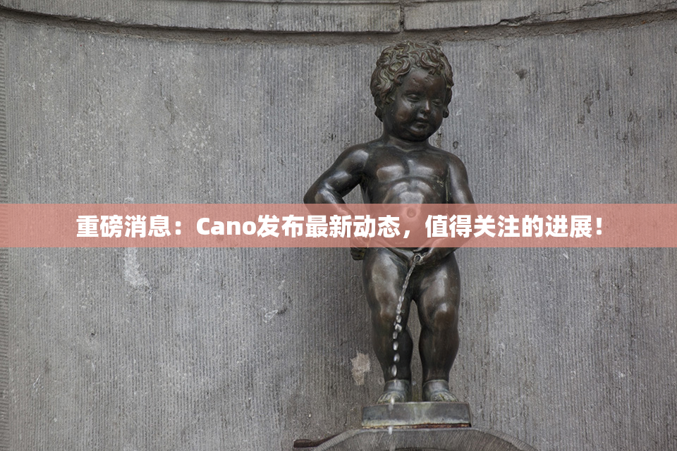 重磅消息：Cano发布最新动态，值得关注的进展！