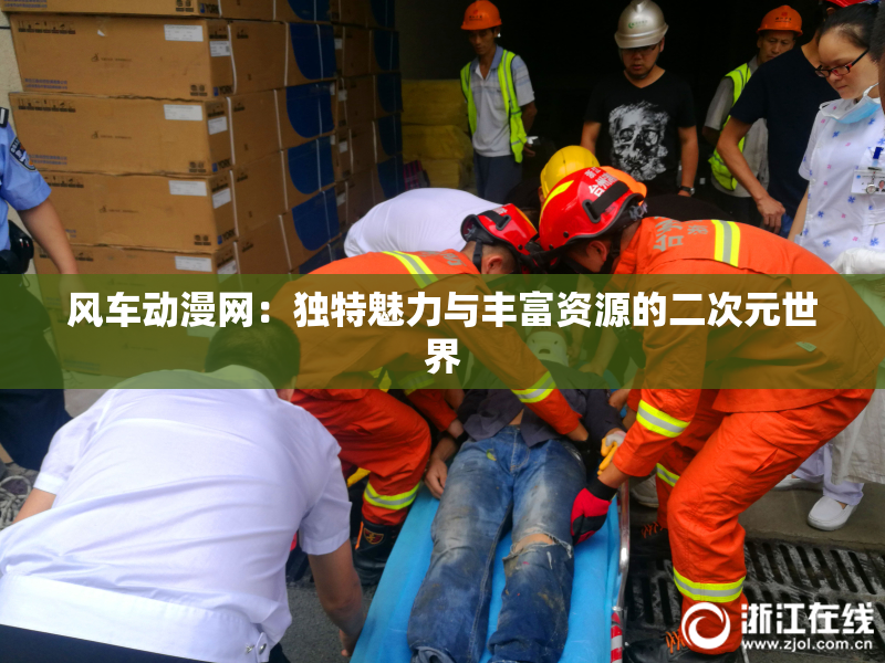 风车动漫网：独特魅力与丰富资源的二次元世界