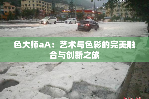 色大师aA：艺术与色彩的完美融合与创新之旅